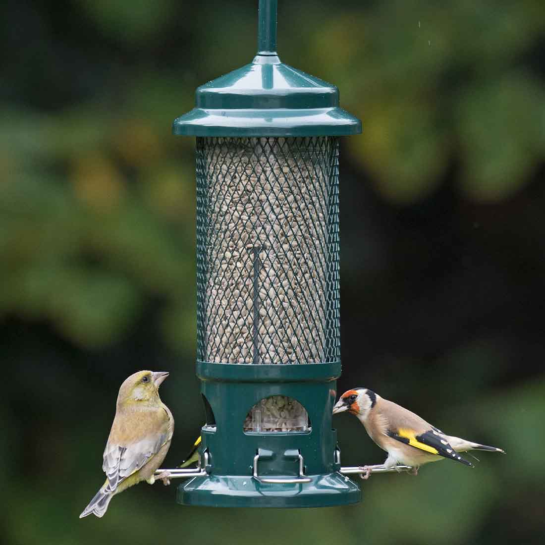 A Little Bird Co