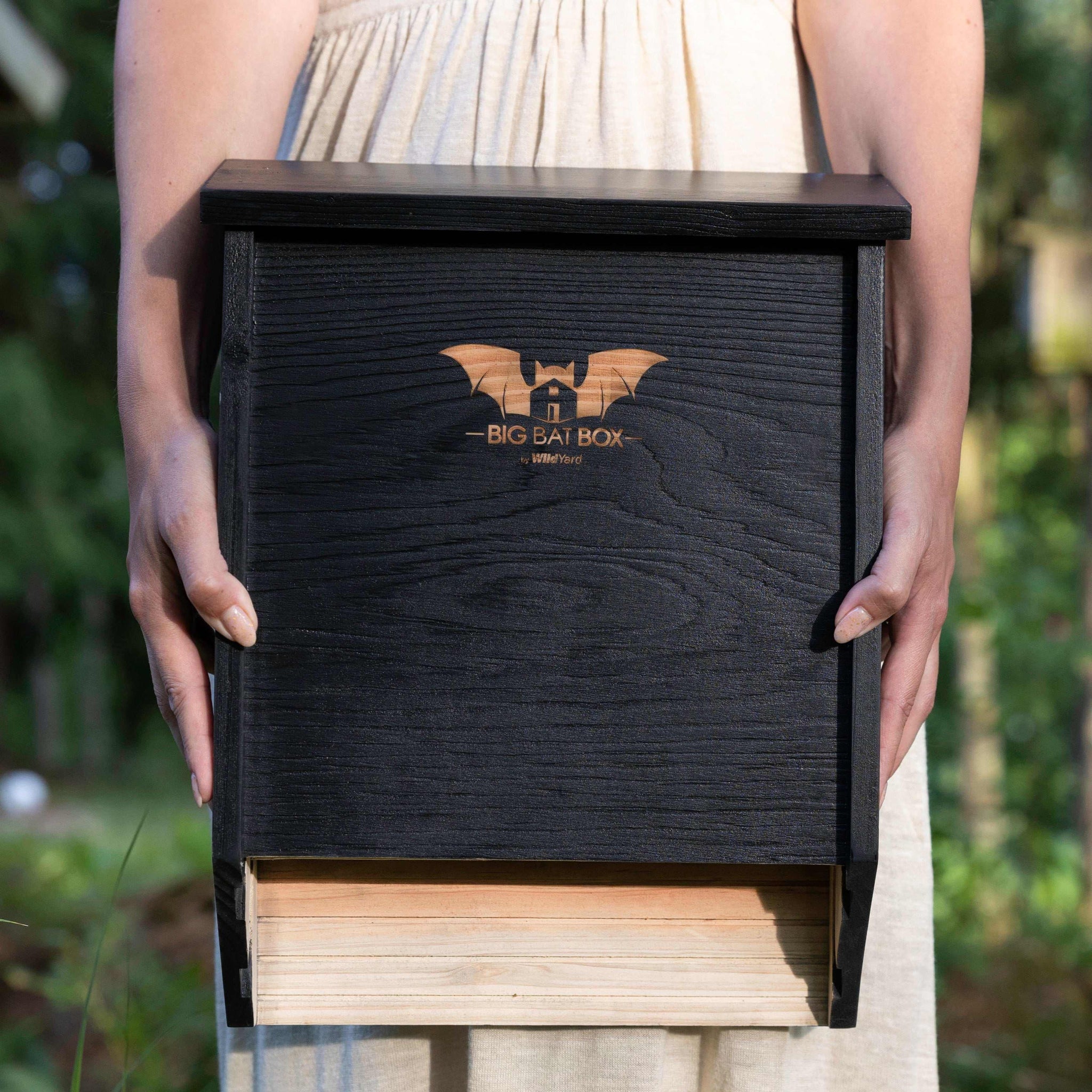 Big Bat Box