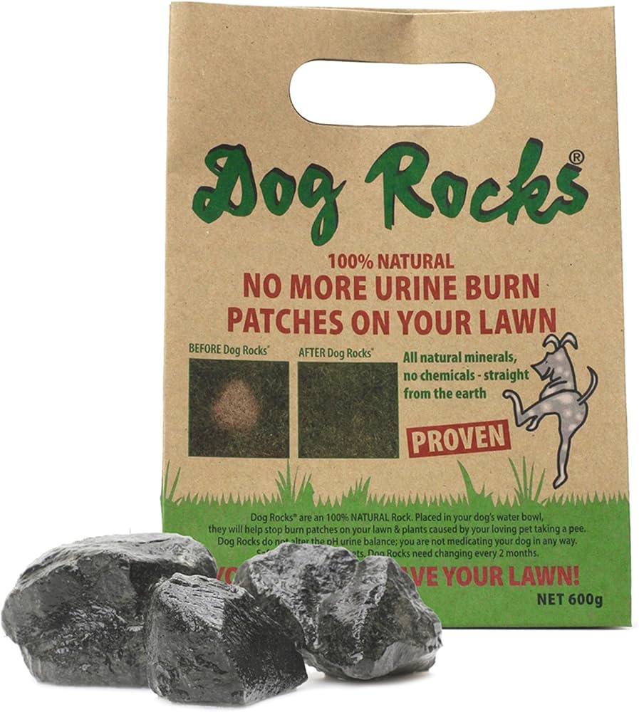 Dog Rocks