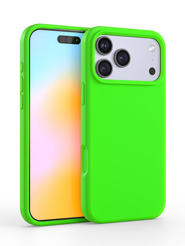 Felony Case