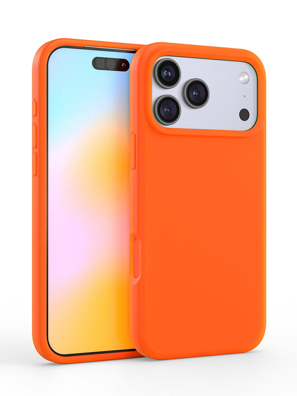 Felony Case