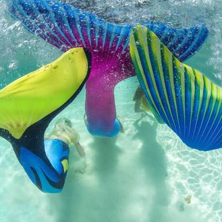 Fin Fun Mermaid