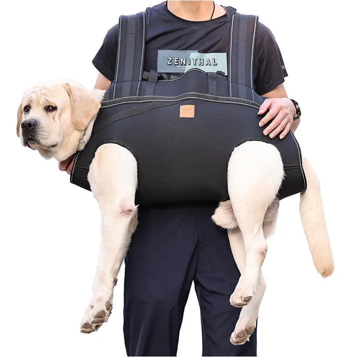 Pawsbetter
