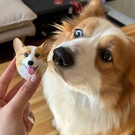 PetPalsDIY