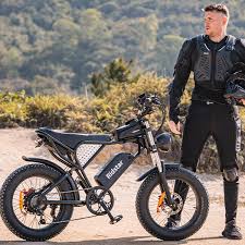 Ridstarebike