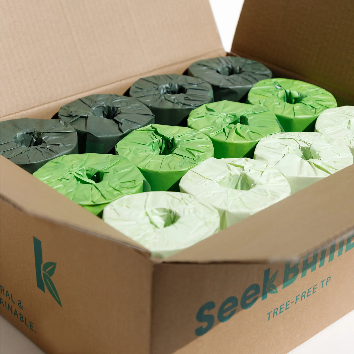 Seek Bamboo